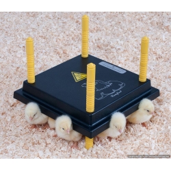 Chick Heat Plate / Electric Hen For 20 - 25 Chicks. 