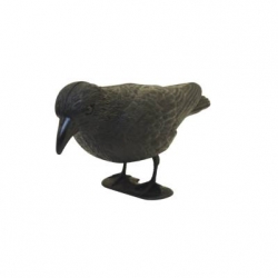 Crow Decoy. Black Plastic Crow.