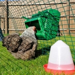 Wise Poultry Feeder. 5kg Cage Mounted.