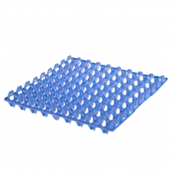 Plastic Egg Tray to hold 72 Quail Eggs