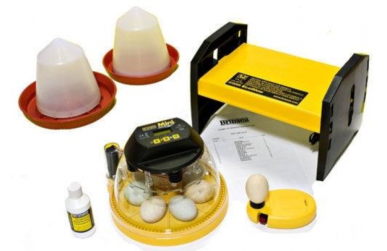 Small Incubator Starter Packs - All you Need to start Incubating Eggs.