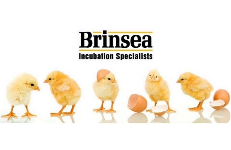 Brinsea Incubator Parts For Sale