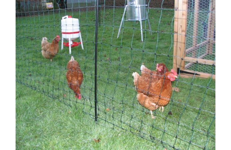 Electric Poultry Fencing Electric Poultry Netting For Sale In Ireland