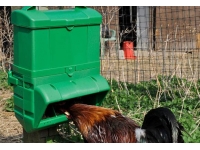 Wise Feeders for Poultry in 5 Kg & 10 Kg Capacity for all Farm Fowl.